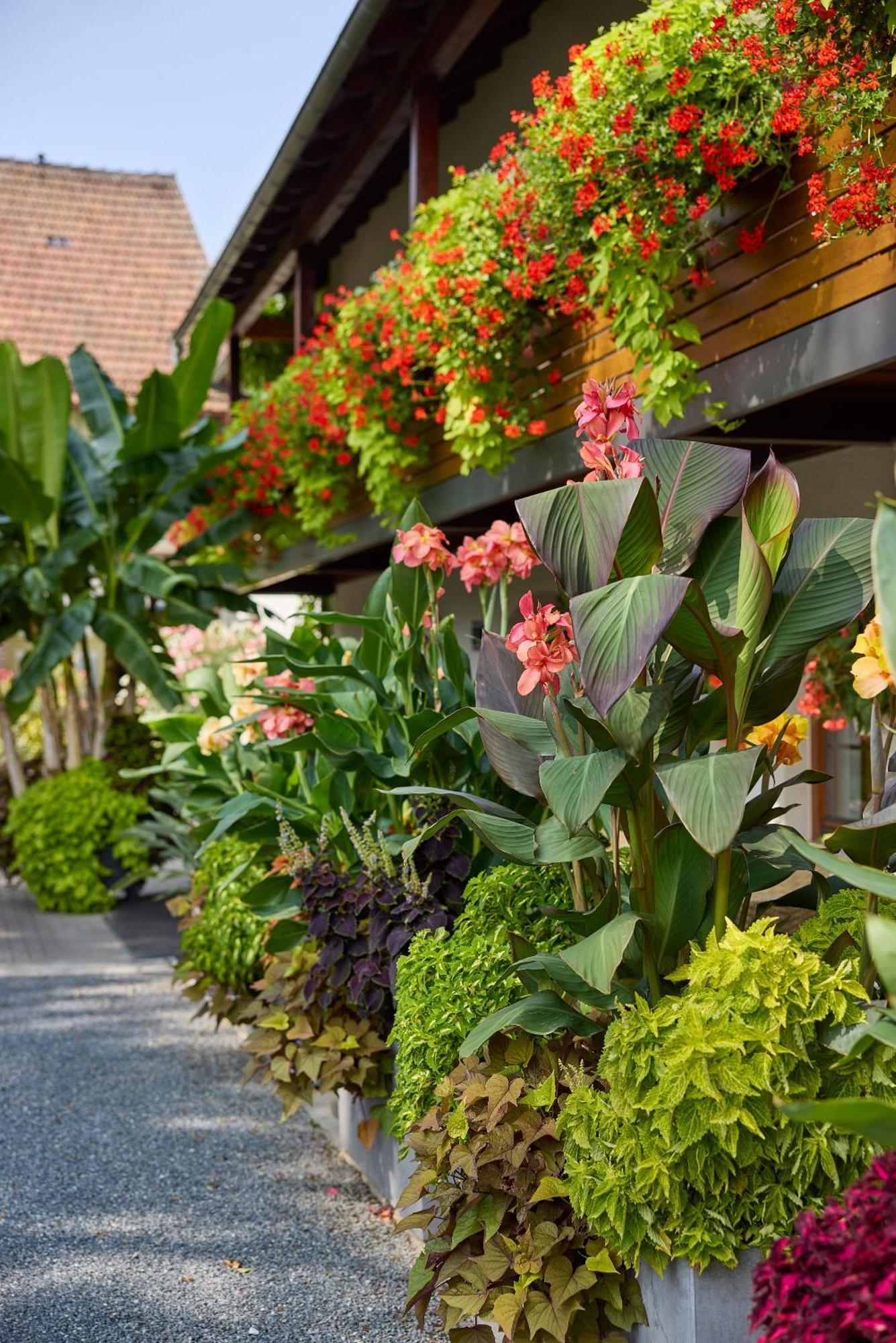 Hotel Garni Sonnenhof Reichenberg  Экстерьер фото