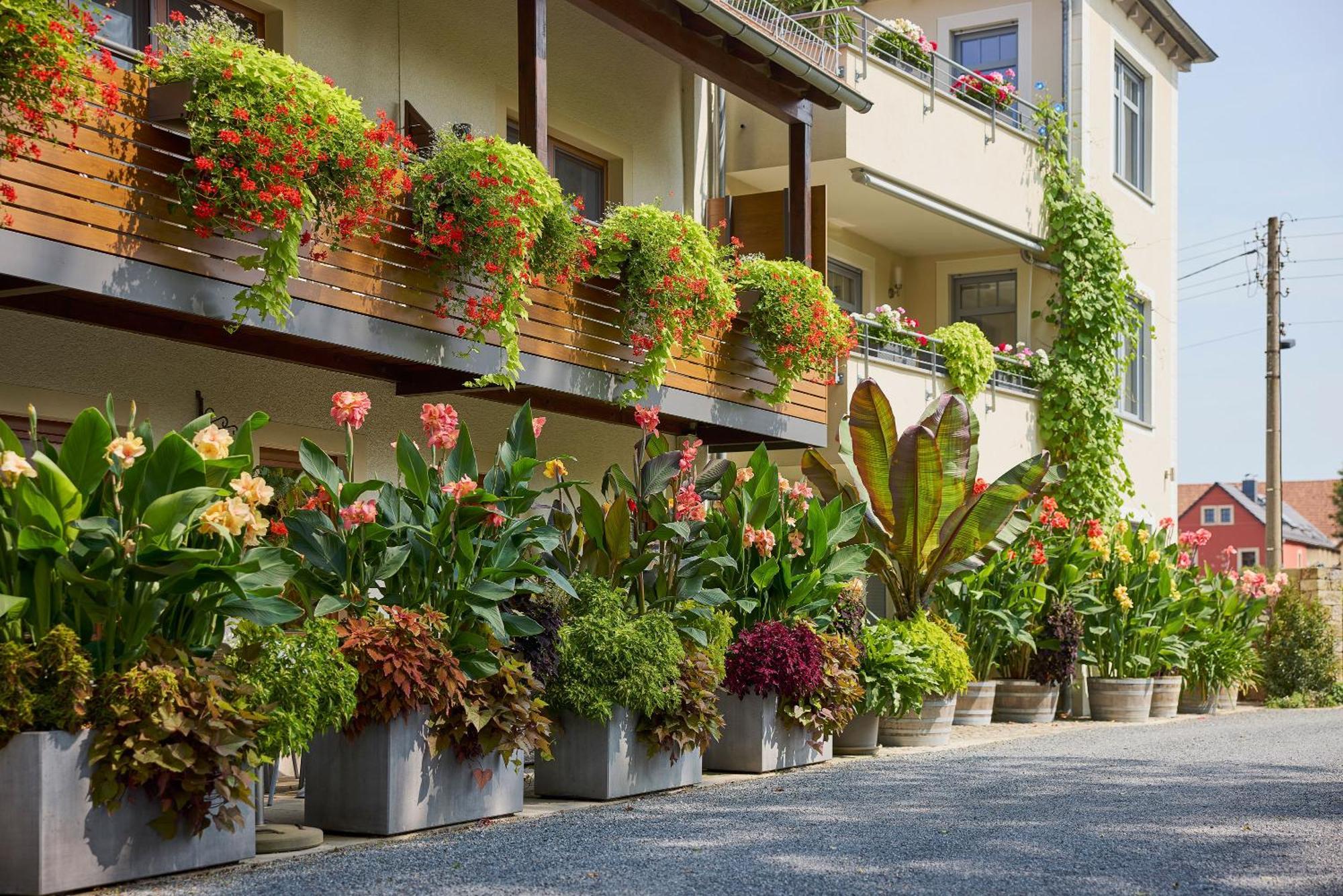 Hotel Garni Sonnenhof Reichenberg  Экстерьер фото